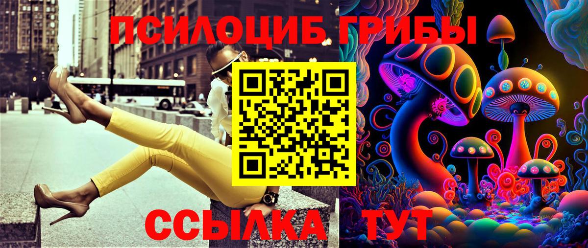 Псилоцибиновые грибы Psilocybine cubensis Клинцы